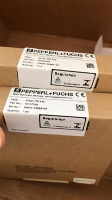 Pepperl+Fuchs KFD2-UT2-EX2 - Dual-Channel Isolated Temperature Safety Barrier (SIL 2)