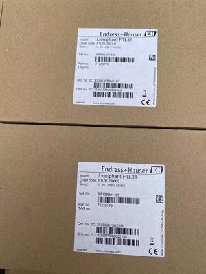 Endress Hauser FTL31-13X4/0 Reliable Tuning Fork Level Switch
