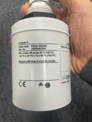 Endress Hauser FDU91-RGЗAA Ultrasonic sensor for level and flow measurement for connection to FMU9x
