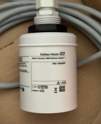 Endress Hauser FDU91-RG1AA ultrasonic level sensor