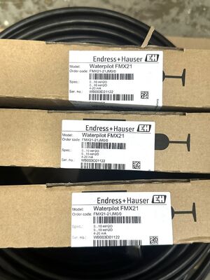 Endress Hauser MX21-21JM0/0 High-Precision Capacitive Level Switch for Industrial Process Control