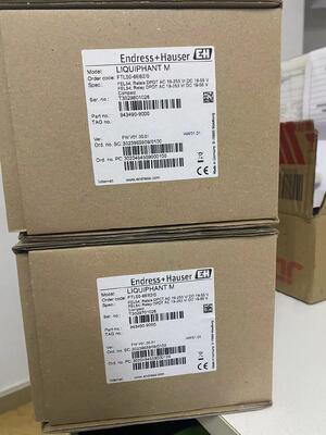 E+H  FTL50-1DN80/0 Liquiphant M Vibronic Tuning Fork Point Level Switch
