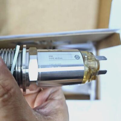  E+H TL31‑1587/0 Liquiphant Vibronic Point Level Switch